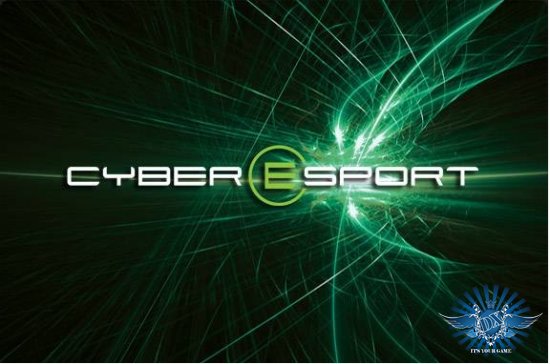 Начался сбор петиций на включение киберспорта в раздряд Олимпийских видов спорта